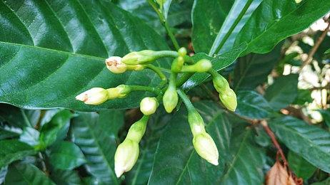 E3：滑雪游戏《Shredders》12月发售 首发加入XGP