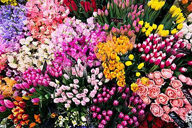 《战地6》开发商将对兵种职业平衡性进行大幅调整